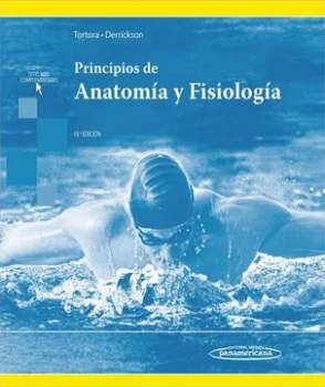 Principios de anatomía y fisiología / Gerard J. Tortora [y otro] ; [traducción por] Editorial médica Panamericana.